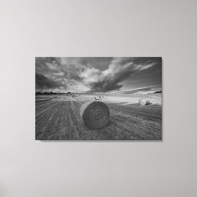 Toile B&W Barley Field 2 (Recto)