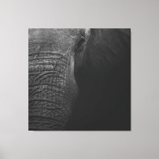 Toile B&W Elephant (Recto)