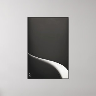 Toile B&W, Expériences en série suprématie, Vol 1