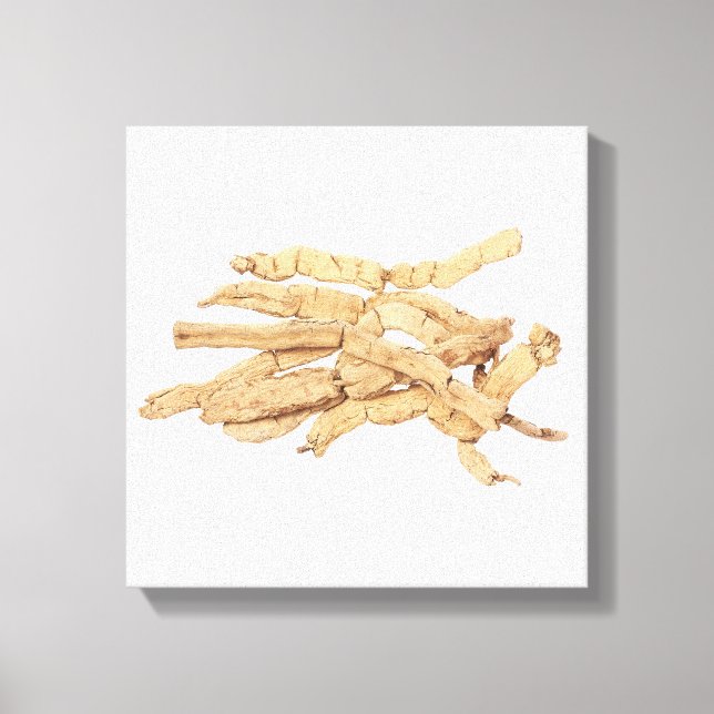 Toile Ba Ji Tian (Recto)