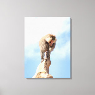 Toile Babouin majestueux sur un sommet de montagne