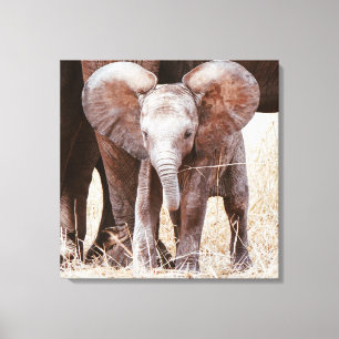 Toile Baby Elephant mignon Eléphant africain avec maman