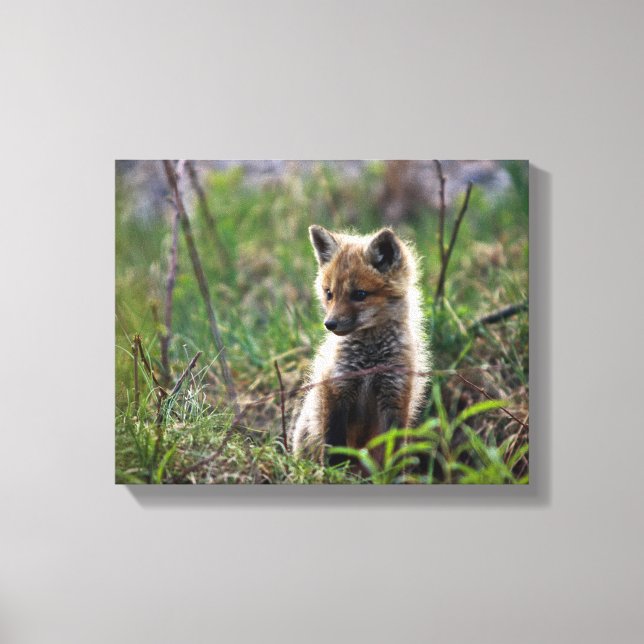 Toile Baby Red Fox (Recto)