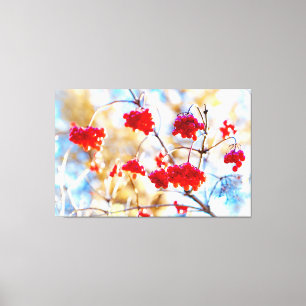 Toile Baies Arrowwood