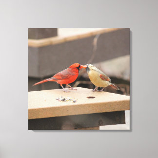 Toile Baiser les cardinaux