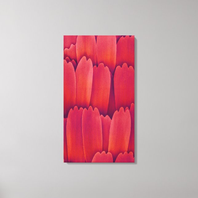 Toile Balances à ailes papillon (Recto)