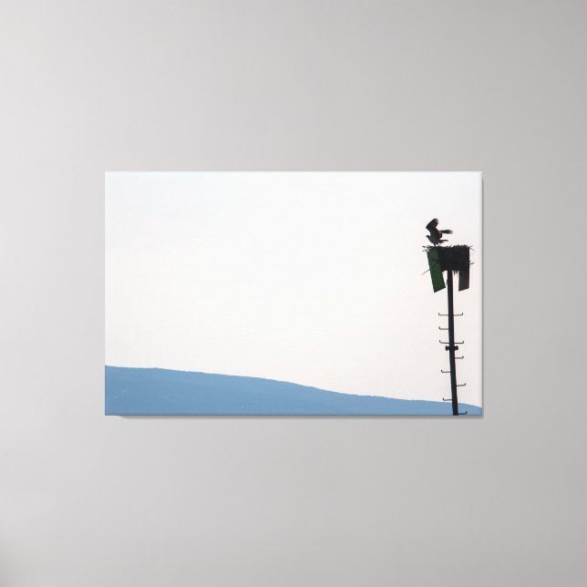 Toile Balbuzard pêcheur devant l'île du Mont-Désert, Mai (Recto)