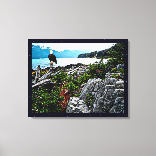 Toile Bald Eagle Sur La Côte De L'Alaska (Recto)