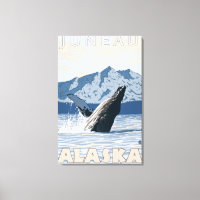 Baleine à bosse - Juneau, Alaska