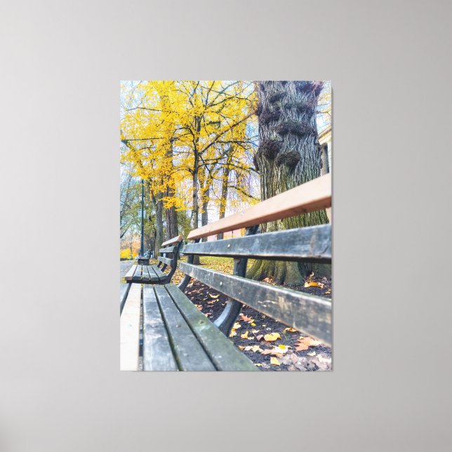 Toile Banc de parc dans le paysage d'automne (Recto)