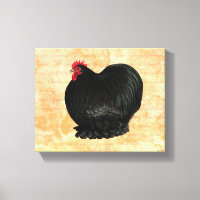 Bantam Cochin