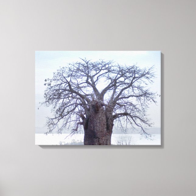 Toile Baobab (Adansonia Digitata), Luanda (Recto)