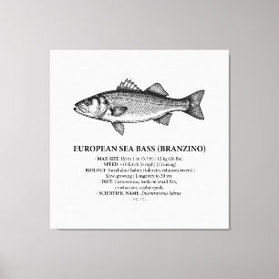 Toile Bar Branzino Vintage de la Bass de mer européenne 