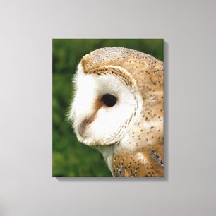 TOILE BARN OWLS
