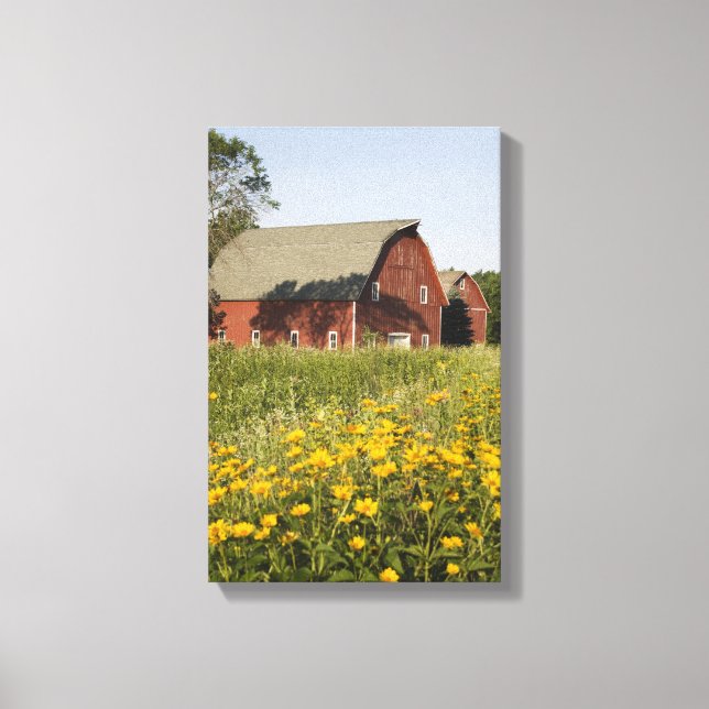 Toile Barre rouge avec Fleurs sauvages jaunes (Recto)