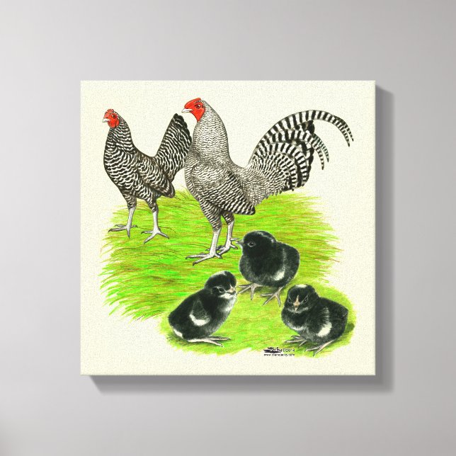 Toile Barred Bantam Family (Recto)