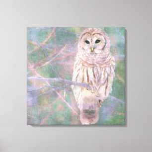 Toile Barred Owl Pastel Oilpaint