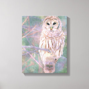 Toile Barred Owl Pastel Oilpaint