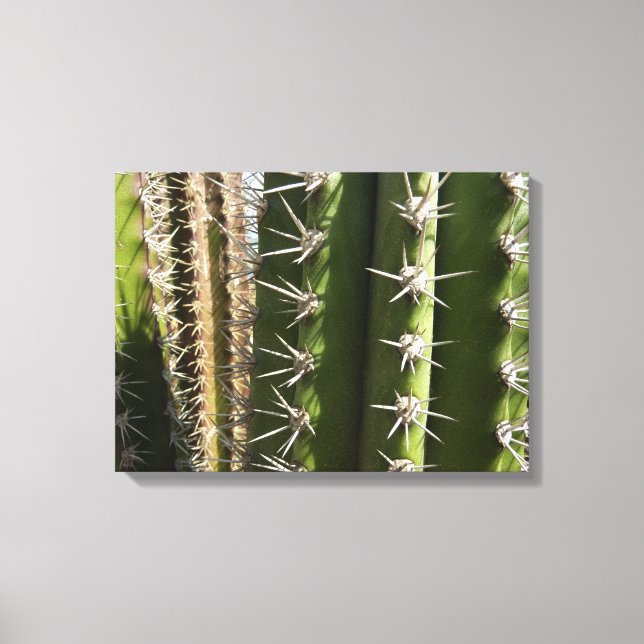 Toile Barrel Cactus II Désert Nature Photo (Recto)