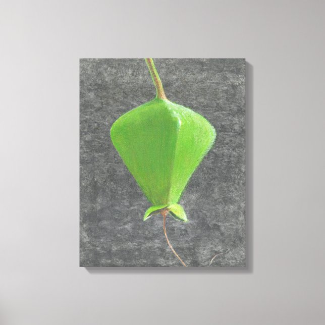 Toile Barringtonia Acutangula (Recto)