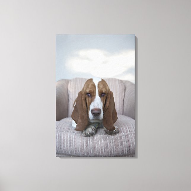 Toile Basset Hound (Recto)