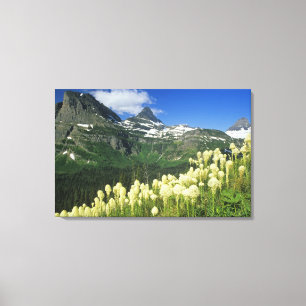 Toile Beargrass près du col Logan National Gacier