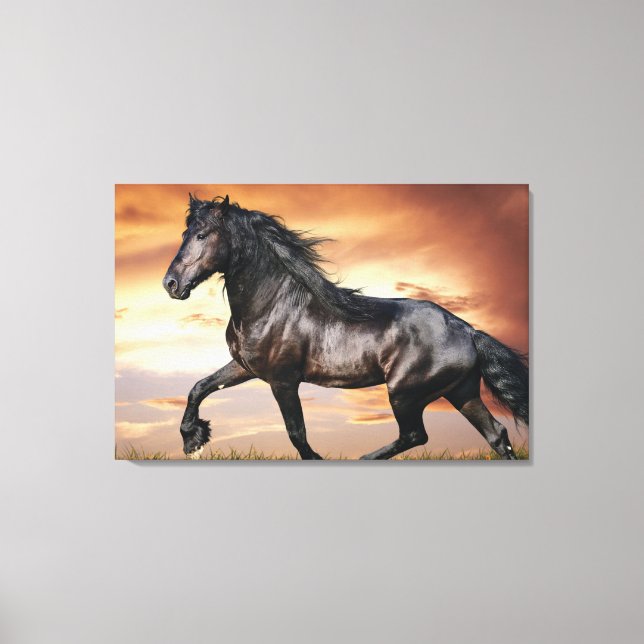 Toile Beau Cheval Noir (Recto)