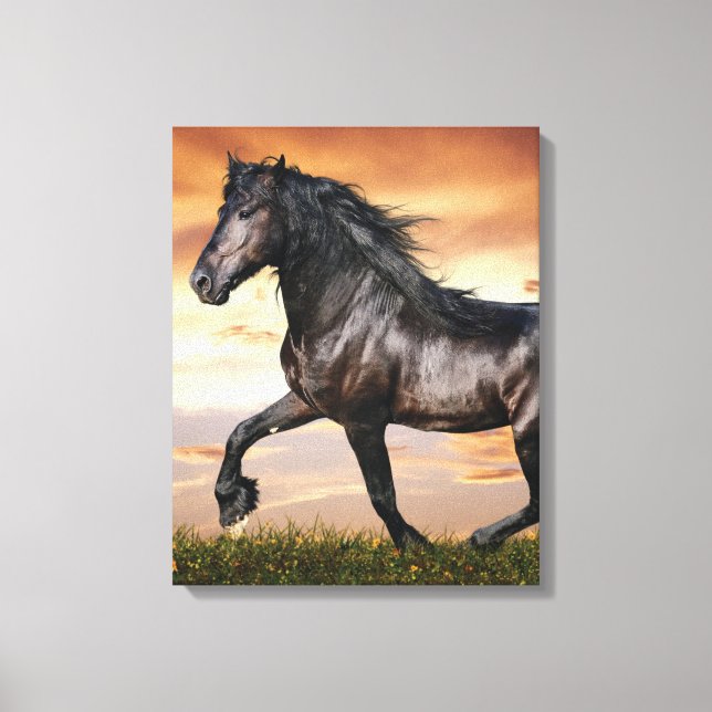 Toile Beau Cheval Noir (Recto)