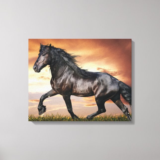 Toile Beau Cheval Noir (Recto)