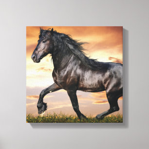 Toile Beau Cheval Noir