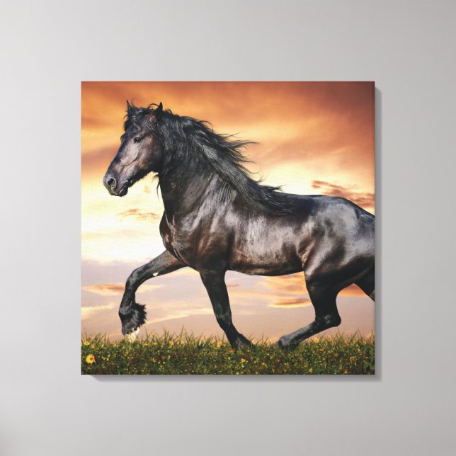 Toile Beau Cheval Noir (Recto)