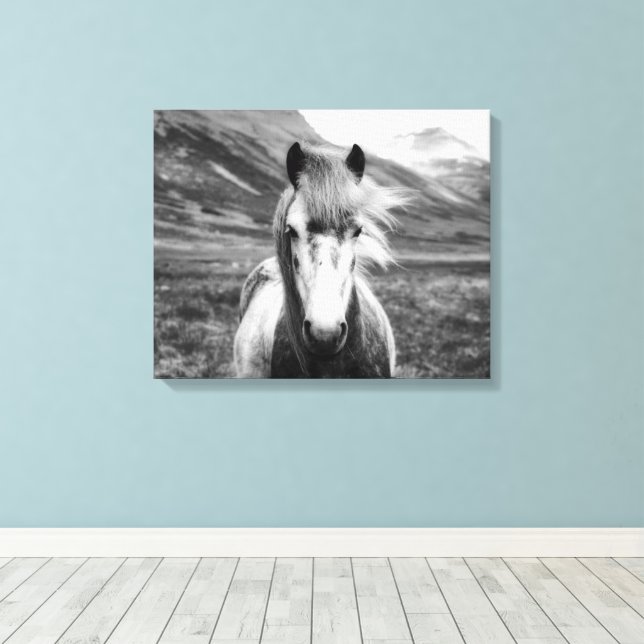 Toile Beau Cheval Sauvage Noir et Blanc (Insitu (Plancher de Bois))