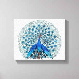 Toile Beau dessin Peacock