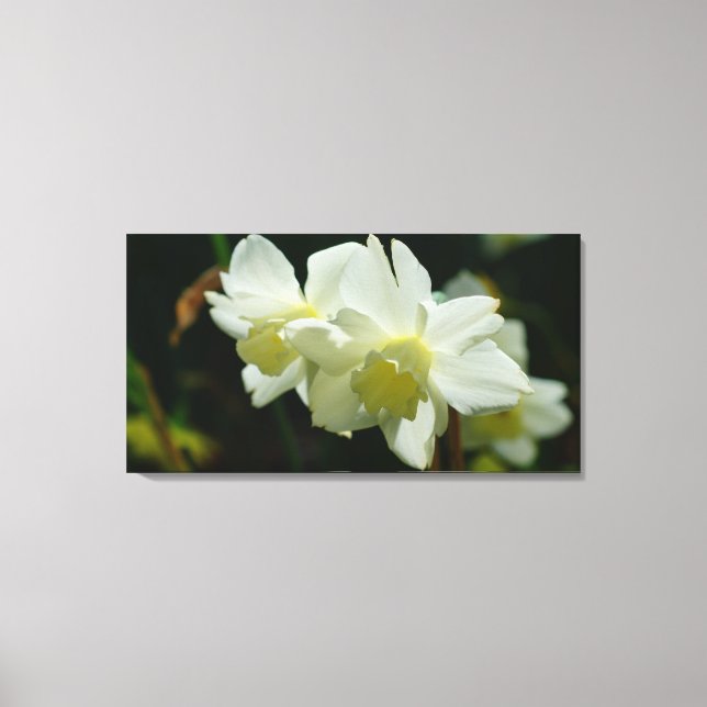 Toile Beau en blanc (Recto)