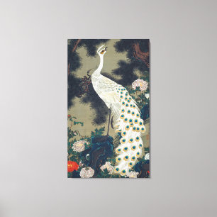 Toile Beau Japonais blanc de paon