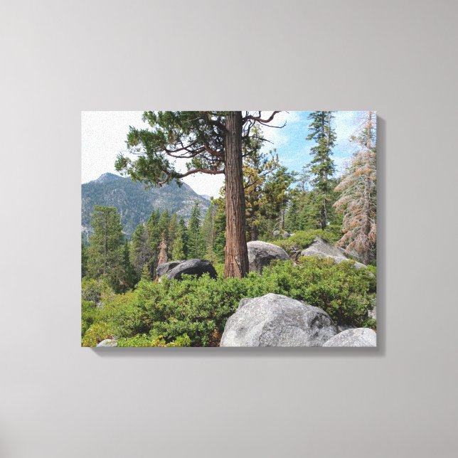 Toile Beau Lac Tahoe Paysage (Recto)