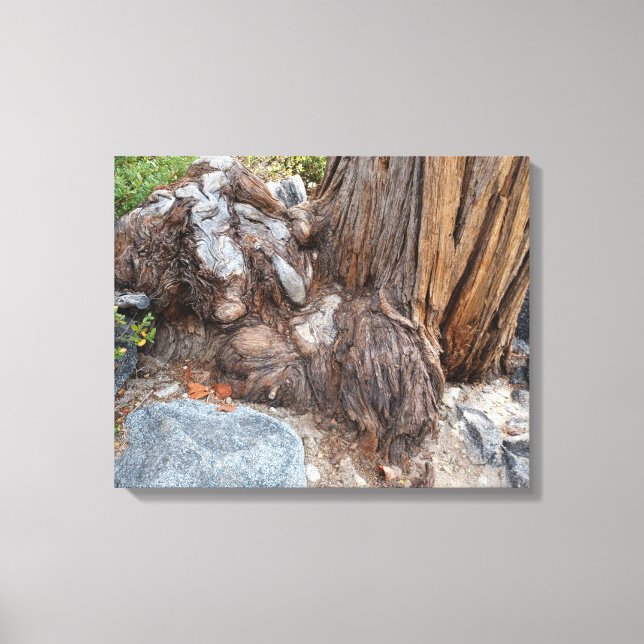 Toile Beau Lac Tahoe Paysage (Recto)