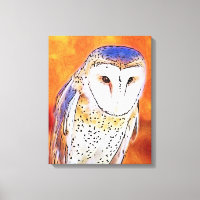 Beau Oiseau De Chouette De Grange À Visage Blanc