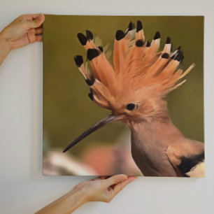 Toile Beau Oiseau De Hoopoe Avec Couronne De Plumes