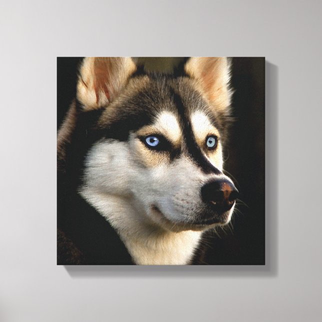 Toile Beau Oreiller Husky Lrow (Recto)