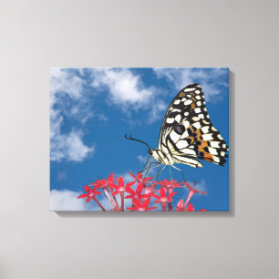 Toile Beau Papillon