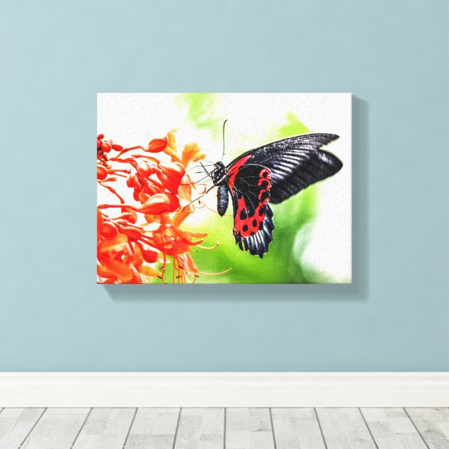 Toile Beau Papillon noir et rouge Insectes Nature (Insitu (Plancher de Bois))