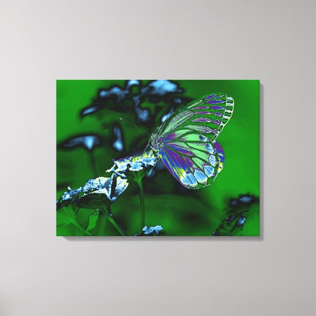 Toile Beau papillon sur la fleur 2 (Recto)