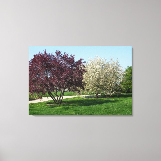 Toile Beau paysage et arbres (Recto)