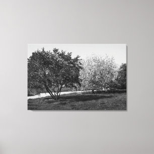 Toile Beau paysage et arbres