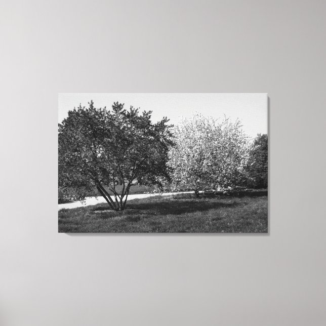 Toile Beau paysage et arbres (Recto)
