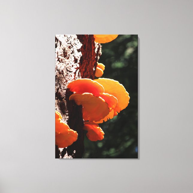Toile Beau plateau de soufre jaune Fungus Canvas Imprime (Recto)
