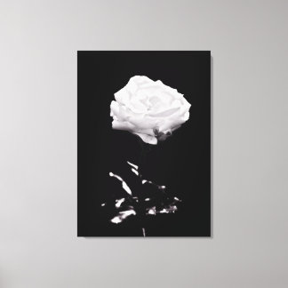 Toile Beau Rose noir et blanc Gros plan
