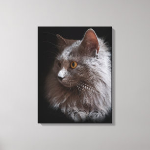 Toile Beau Russe Blue Grey Chat Nebelung