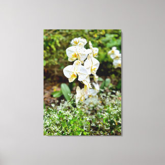 Toile Beauté d'Orchidée